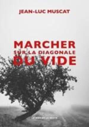 Cover of La diagonale du vide